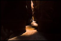 Pine Creek Canyon floor between narrow walls. Zion National Park ( color)