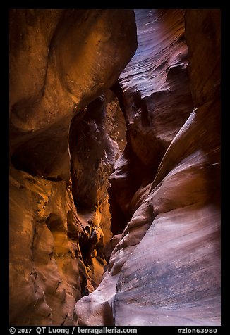 Colorful slot canyon walls, Pine Creek Canyon. Zion National Park (color)