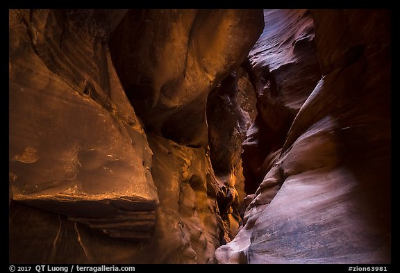 Sculptured slot canyon walls, Pine Creek Canyon. Zion National Park (color)