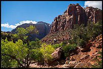 Pine Creek Canyon. Zion National Park ( color)