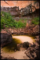 Upper Emerald Pool and cliffs. Zion National Park ( color)