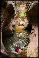 Canyoneers swim through a pothole, Upper Left Fork. Zion National Park, Utah ( color)