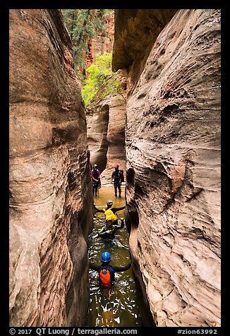 Canyoneers wade through narrows, Upper Left Fork. Zion National Park, Utah (color)