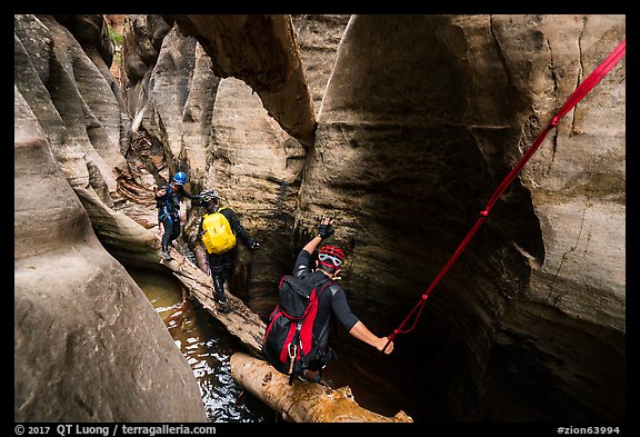 Canyoneers scramble on log, Upper Left Fork. Zion National Park, Utah (color)