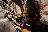 Canyoneers scramble on log, Upper Left Fork. Zion National Park, Utah ( color)