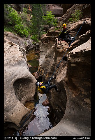 Canyonneer rappels into the Subway. Zion National Park, Utah (color)