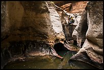 Canyonneer descends into the Subway. Zion National Park, Utah ( color)