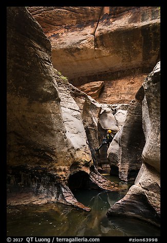 Canyonneer rappelling into the Subway. Zion National Park, Utah (color)