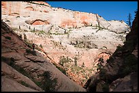 Canyonneers walk on ledge, Behunin Canyon. Zion National Park, Utah ( color)