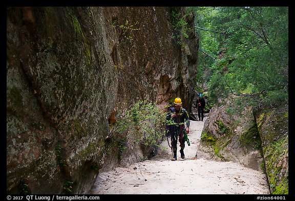 Canyonneer walk sandy section of Behunin Canyon. Zion National Park, Utah (color)