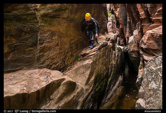 Canyonneer scrambles on narrow ledge, Behunin Canyon. Zion National Park, Utah (color)