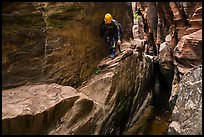 Canyonneer scrambles on narrow ledge, Behunin Canyon. Zion National Park, Utah ( color)