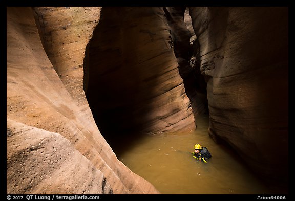 Canyonneer swimming in Pine Creek Canyon. Zion National Park, Utah (color)