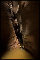 Swimming flooded corridor in Pine Creek Canyon. Zion National Park, Utah ( color)