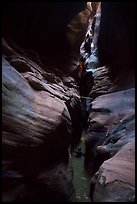 Canyonneer wades in subterranean section of Pine Creek Canyon. Zion National Park, Utah ( color)