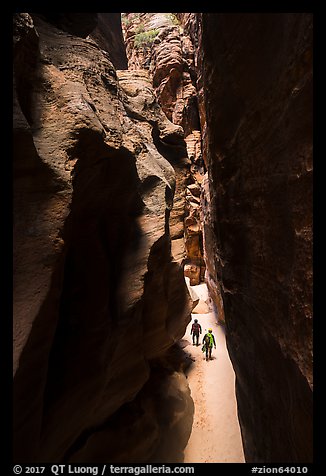 Canyonneers walk in narrows of Pine Creek Canyon. Zion National Park, Utah (color)