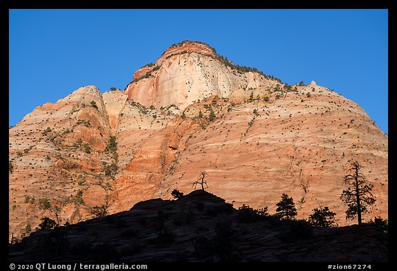 Cliff and silhouette, Zion Plateau. Zion National Park (color)