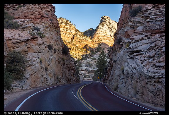 Road cut in cliffs, Zion Plateau. Zion National Park, Utah, USA.