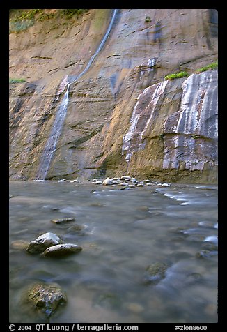 Mystery Falls, the Narrows. Zion National Park, Utah, USA.