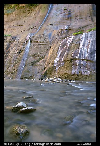 Mystery Falls, the Narrows. Zion National Park (color)