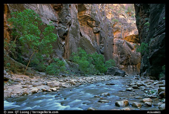 Virgin River flowing over stones in the Narrows. Zion National Park (color)