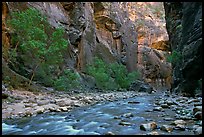 Virgin River flowing over stones in the Narrows. Zion National Park, Utah, USA.