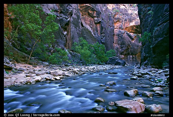Virgin River in  Narrows. Zion National Park (color)