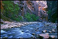 Virgin River in  Narrows. Zion National Park, Utah, USA. (color)