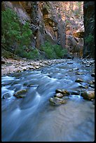 Virgin River and steep canyon walls in the Narrows. Zion National Park, Utah, USA. (color)