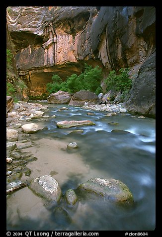 Rock alcove and Virgin River, the Narrows. Zion National Park, Utah, USA.