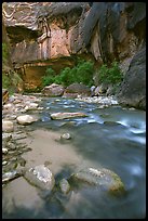 Rock alcove and Virgin River, the Narrows. Zion National Park ( color)