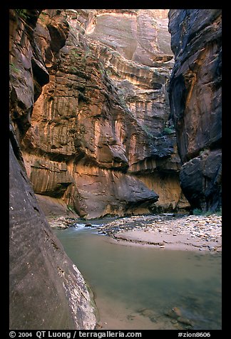 Bend of  Virgin Rivers in the Narrows. Zion National Park, Utah, USA.