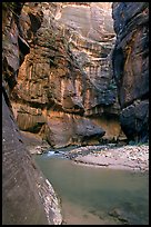 Bend of  Virgin Rivers in the Narrows. Zion National Park, Utah, USA. (color)