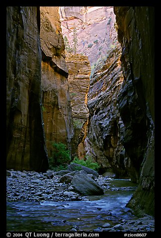 Tall walls in the Narrows. Zion National Park, Utah, USA.