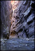 Slot canyon like walls, Wall Street, the Narrows. Zion National Park, Utah, USA.