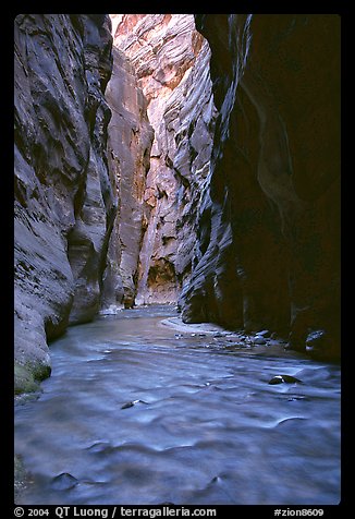 Virgin River flowing between  rock walls of Wall Street, the Narrows. Zion National Park (color)