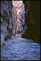 Virgin River flowing between  rock walls of Wall Street, the Narrows. Zion National Park, Utah, USA.