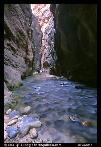 Virgin River at Wall Street, the Narrows. Zion National Park, Utah, USA.