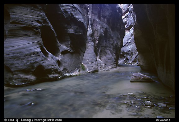 Dark canyon at Wall Street, the Narrows. Zion National Park, Utah, USA.