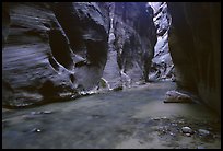 Dark canyon at Wall Street, the Narrows. Zion National Park, Utah, USA. (color)