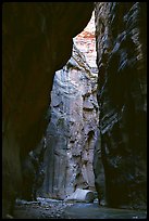 Section of the Narrows called Wall Street. Zion National Park, Utah, USA. (color)