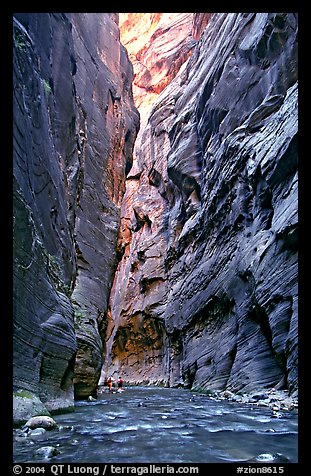 Hikers dwarfed by the walls of Wall Street, the Narrows. Zion National Park, Utah, USA.