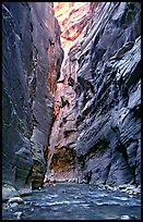 Hikers dwarfed by the walls of Wall Street, the Narrows. Zion National Park, Utah, USA.