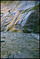 Canyoneer rappelling alongside Mystery Falls, the Narrows. Zion National Park, Utah, USA. (color)