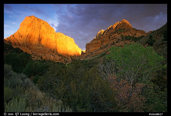 Sandstone Formations at Sunset, Zion National Park, Utah без смс