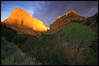 Kolob Canyons at sunset. Zion National Park, Utah, USA.