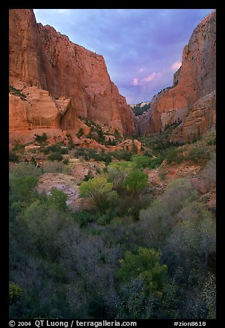 South Fork of Kolob Canyons at sunset. Zion National Park, Utah, USA.