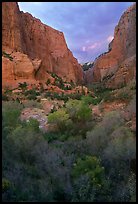 South Fork of Kolob Canyons at sunset. Zion National Park, Utah, USA.