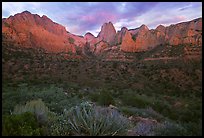 Panoramic view of Kolob Canyons at sunset. Zion National Park, Utah, USA.