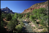 Virgin river and Watchman, spring morning. Zion National Park, Utah, USA.